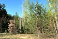 участок по адресу Университетская ул., 1