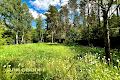 ділянка за адресою Садова, 45Б