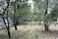 ділянка за адресою Київ, Газопровідна вул., 42