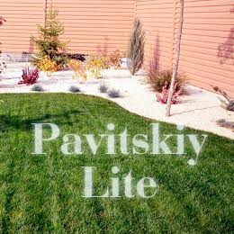 Pavitskiy Lite