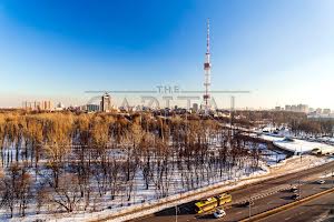 комерційна за адресою Олени Теліги вул., 25