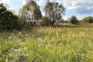 участок по адресу с. Тарасовка, Польова