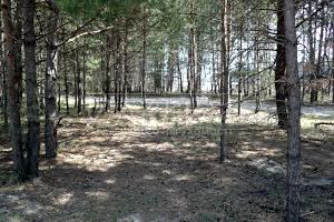 ділянка за адресою с. Плюти, 