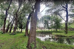 участок по адресу Єдності ул.