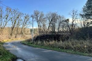 участок по адресу с. Старые Безрадичи, 