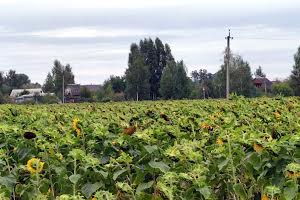 участок по адресу с. Загальцы, Линия, 2