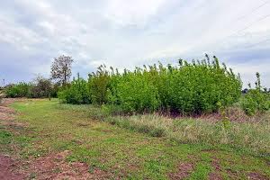 участок по адресу с. Ставы, Вишнева, 56