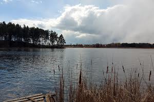 будинок за адресою Центральна, 37