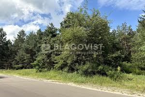 ділянка за адресою Броварський просп.