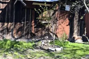 квартира за адресою вулиця Різдвяна, 54
