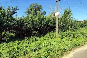 участок по адресу с. Микуличи, Ворошилова