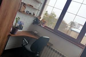 квартира за адресою Миру вул., 25
