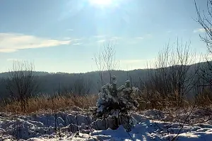участок по адресу Молодіжна