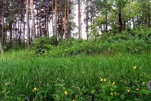 участок по адресу Мрія