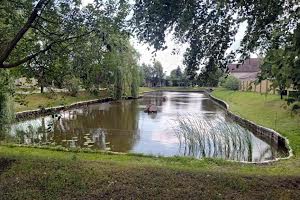 ділянка за адресою Центральна вул., 44