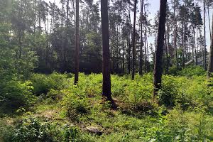 участок по адресу пгт. Ворзель, Котляревського