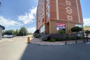 участок по адресу Борисполь, Киевский Шлях ул., 102