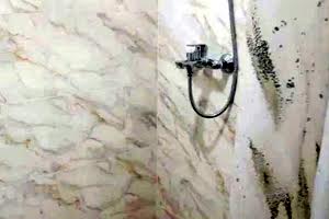 квартира за адресою Нетеченська вул., 15