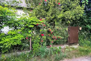 дом по адресу Воровского пер., 20