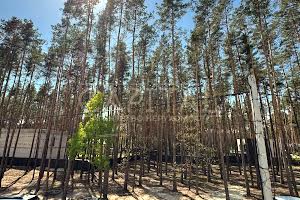 будинок за адресою Бортничі