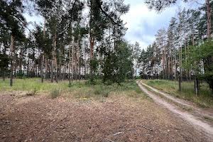 участок по адресу с. Загальцы, Лісова, 38