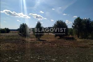 участок по адресу с. Дружня, Чубаря, 89