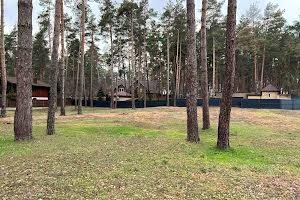 ділянка за адресою с. Романків, Сосновий Бір вул.