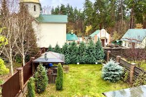 будинок за адресою Вишгород, Яблунева