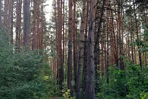 дом по адресу Садова
