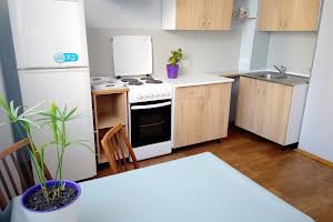 квартира за адресою Олени Пчілки вул., 8