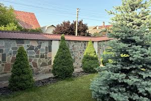 дом по адресу с. Белогородка, Лисенка, 38