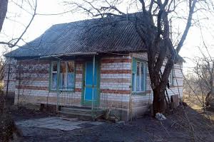 будинок за адресою с. Грузьке, Брусилівська, 140