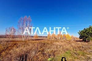 ділянка за адресою смт. Калинівка, 