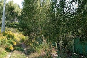 ділянка за адресою В.Стуса, 48