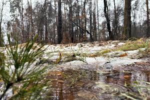 участок по адресу пгт. Ворзель, Котляревського, 53