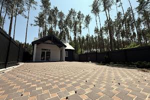 будинок за адресою Центральна вул.