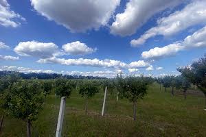 участок по адресу с. Блиставица, 
