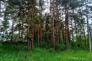участок по адресу Мрія