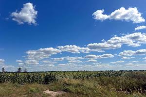 участок по адресу с. Майдановка, 