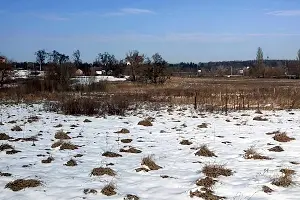 ділянка за адресою Весіння