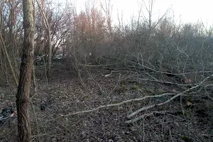 участок по адресу Єнківська, 15