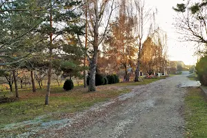 участок по адресу Дружби ул.