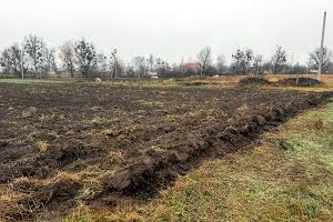 участок по адресу с. Дружня, 