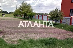 ділянка за адресою с. Чубинське, Блізніченка вул., 36