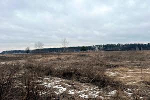 ділянка за адресою с. Михайлівка-Рубежівка, Наталії Ужвіст, 42