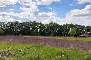 участок по адресу с. Новоселки, 