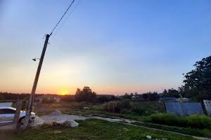 будинок за адресою Лісова, 7