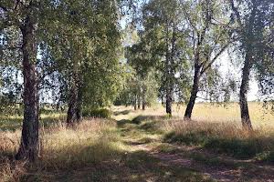 участок по адресу Павла Тичини, 7