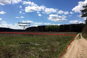 участок по адресу с. Литвиновка, Червона Слобода