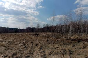 ділянка за адресою с. Глібівка, Лесі Українки, 59